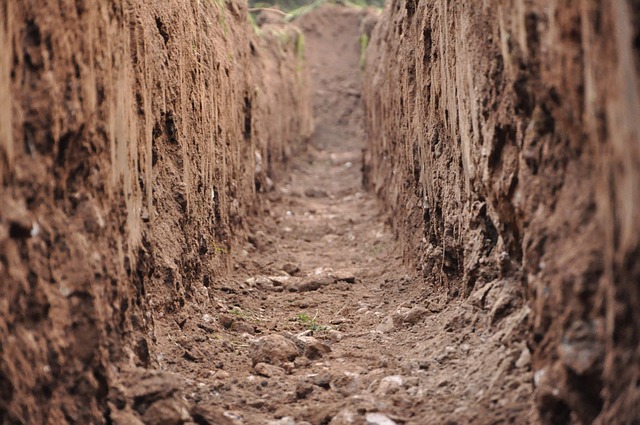 Soil Profile Trench